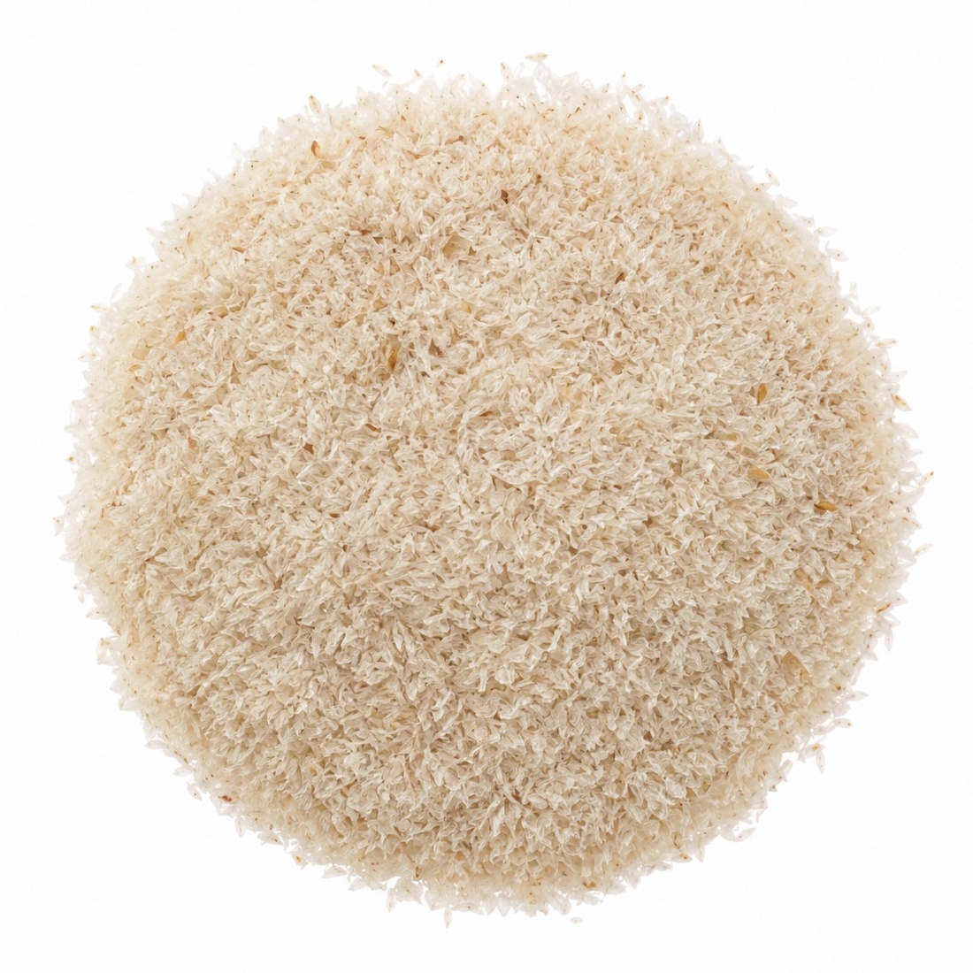 Psyllium husk arranged on a white background