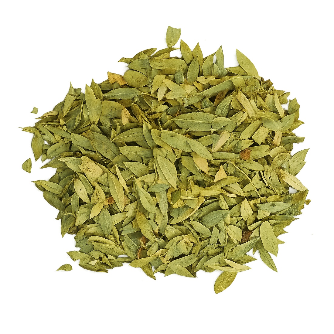 Dried senna leaves arranged on a white background